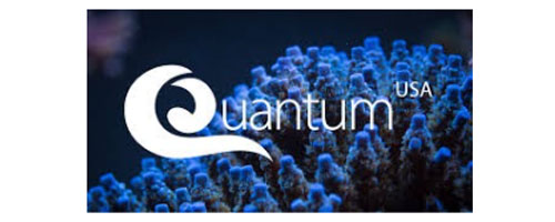 Quantum