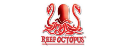 Reef Octopus