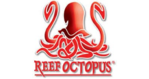 Reef Octopus