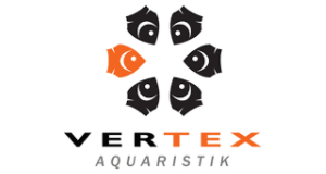Vertex Vertex