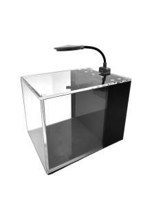 PNW Customs Small-In-One 1 Gallon Desktop Aquarium