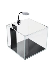 PNW Customs Mini Pond 4 Gallon Desktop Aquarium