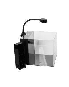 PNW Custom Glass Small-In-One XL | 5 Gallon Desktop Aquarium