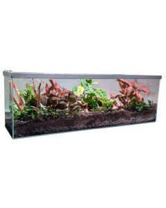 Lifegard Clear Glass 6 Gallon Long Terrarium