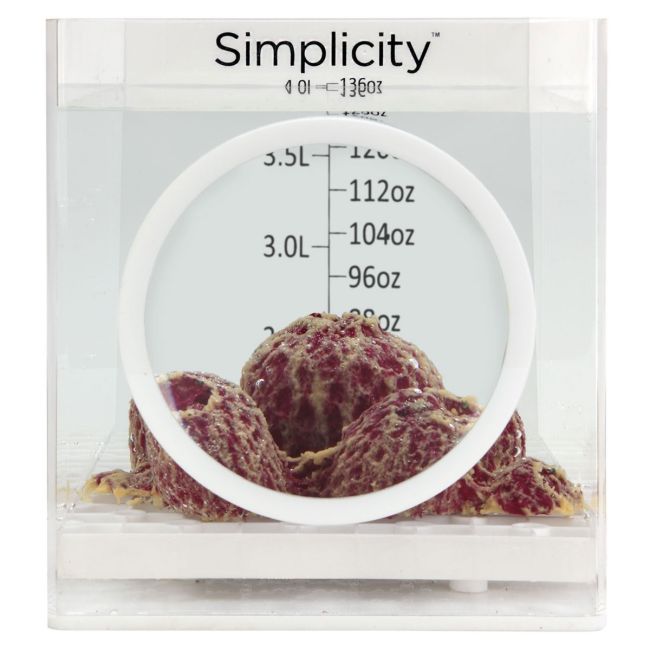 Simplicity Coral Dipping Container w 10X Magnification - 4 l
