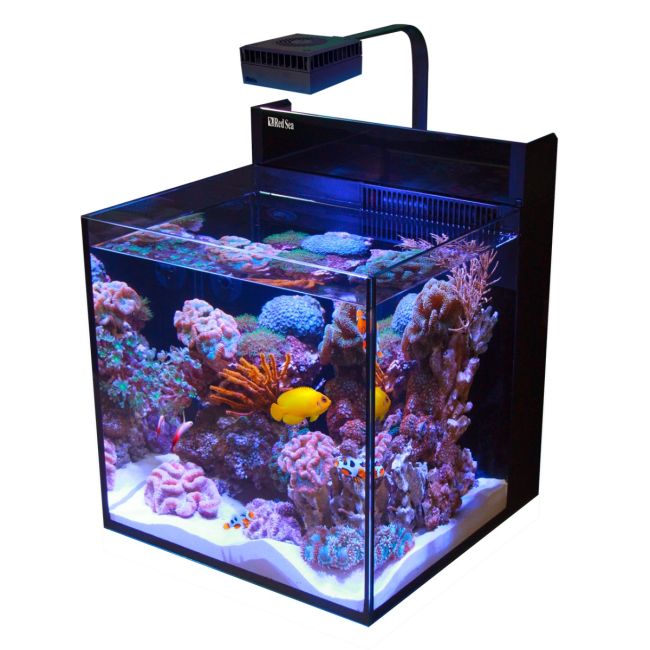 Red Sea Max Nano XL G2 - 33 Gallon Aquariums
