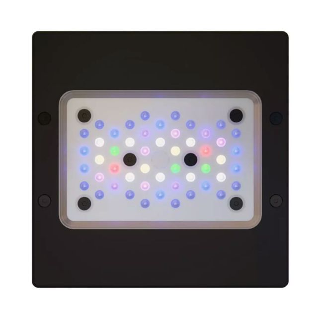 Ecotech XR15W Pro Gen 6 LED - Aquarium Specialty