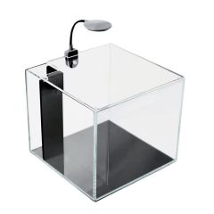 PNW Customs Mini Pond 4 Gallon Desktop Aquarium