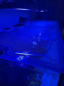 Top Lids Red Sea Reefer 625 XXL Custom Polycarbonate Lid
