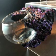 AquaRocks Magnetic Mushroom and Anemone display