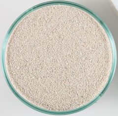 CaribSea Arag Alive Bahama Oolite