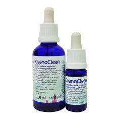 Korallen-Zucht CyanoClean