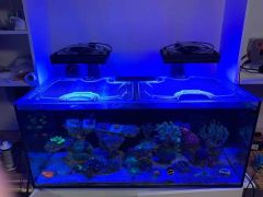 Top Lids Red Sea Reefer 450 Custom Polycarbonate Lid