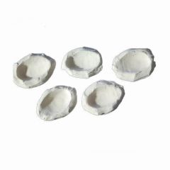The Alternative Reef Clam Holders