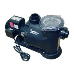 W. Lim Dragon Series Pumps