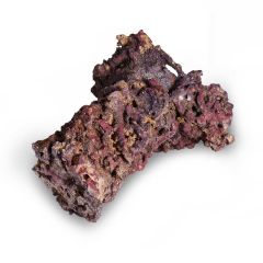 CaribSea Liferock Shrooms (2pk)