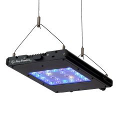 Reef Breeders Meridian 11
