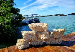 Biotek Marine 35 lbs Large Foundation Tower Dry Reef Rock Aragonite Aquariums Live