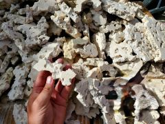 Biotek Marine 5lbs. ARK Ultra Thin Ledges Reef Rock Aragonite, Lightweight, Porous, Aquariums