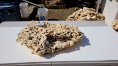 Biotek Marine Shelf Rock- ARKPS-17 28.lb 21×13.5×5″