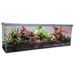 Lifegard Low Iron Glass 6 Gallon Long Terrarium