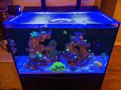 Top Lids Red Sea Max-E 260 Custom Polycarbonate Lid