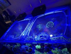 Top Lids Red Sea Reefer Peninsula 650 Custom Polycarbonate Lid