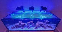 Top Lids Red Sea Reefer-S 850 Custom Polycarbonate Lid