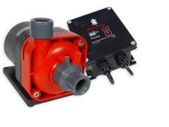 Royal Exclusiv Red Dragon 3 Speedy for Mini 200 VS13 