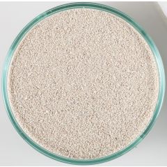 CaribSea Arag Alive Bahama Oolite