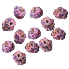 Ecoquaria EcoRock Frag Plug Holders