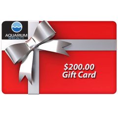 $200.00 Gift Certificate