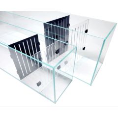 Lifegard Acrylic Divider Plate for 16 Gallon Bookshelf Aquariums