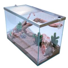 Lifegard Low Iron Glass 20 Gallon Rimless Long Terrarium