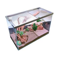 Lifegard Low Iron Glass 10 Gallon Rimless Long Terrarium