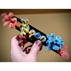 Slide-Loc Magnetic Frag Rack
