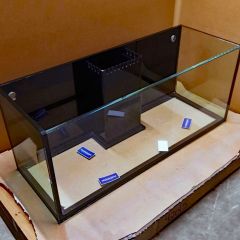 GlassCages 60" Custom Rimless Aquarium