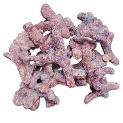Ecoquaria EcoRock Reef Rock Branch 17 - 19 lbs
