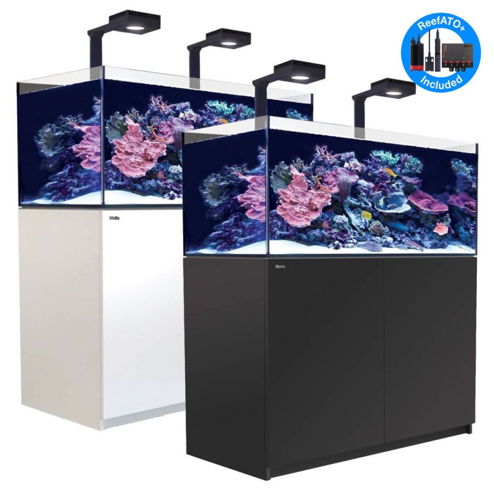 gasformig Milestone Nedsænkning Red Sea Reefer Deluxe XL 425 G2 System - 91 Gal w/ 2x ReefLED 90