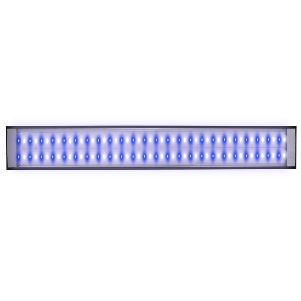 Reef Brite LumiLite Pro Blue LED | Specialty