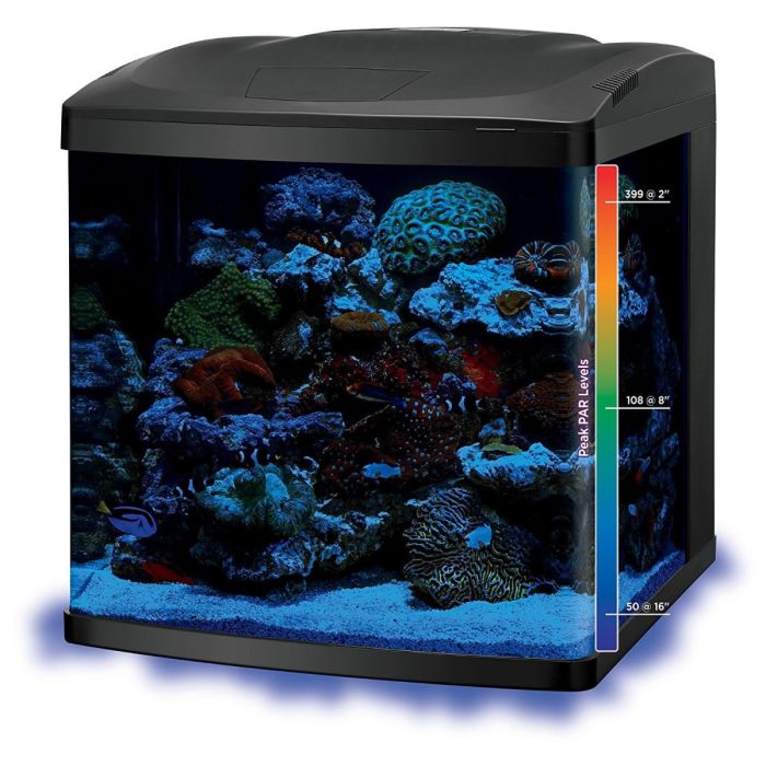 Coralife BioCube 32 Gallon Aquarium Starter Kit