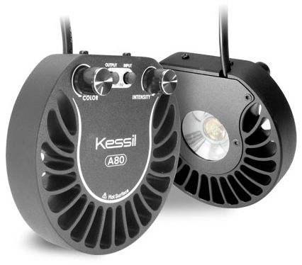 Kessil A80 Tuna Sun LED