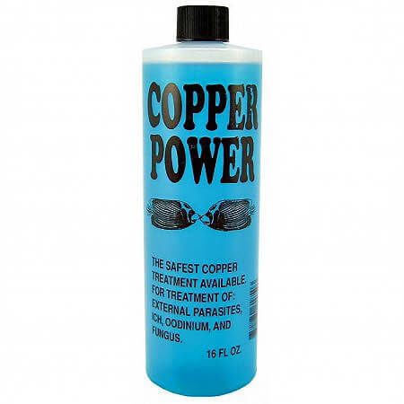 Endich Copper Power Treatment Saltwater
