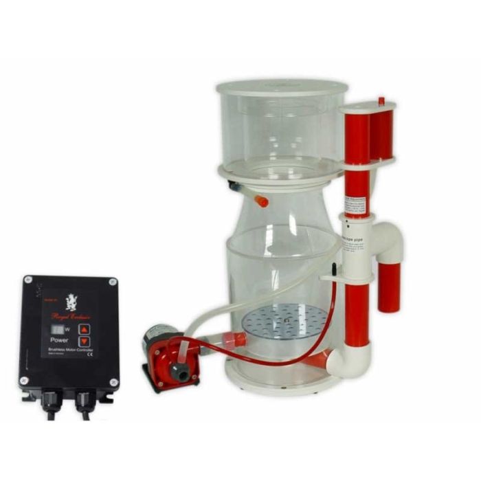 Royal Exclusiv Bubble King Deluxe 250 Skimmer with RD3 Speedy
