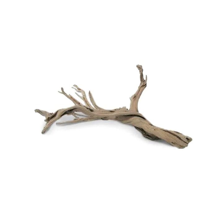 Dymax Driftwood