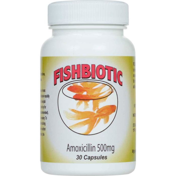 Fishbiotics Amoxicillin 500 mg x 30