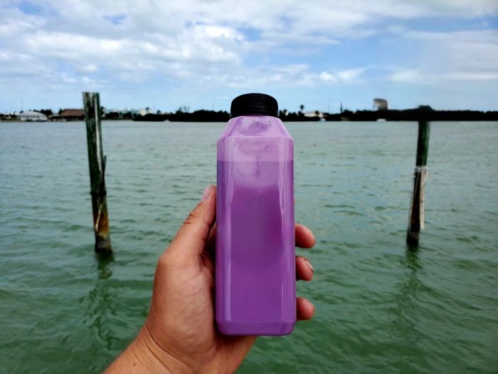 Biotek Marine 16oz Purple Reef Safe Colorant for DRY Rock (Aquascape Touch Up)