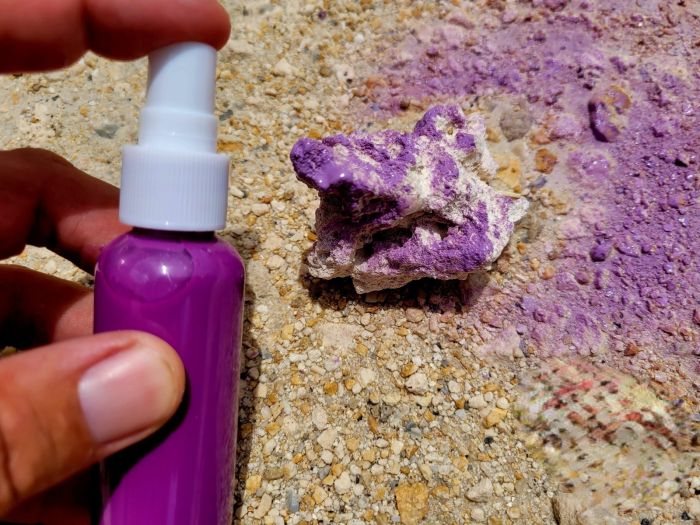 Biotek Marine 2oz Purple Spray Colorant for Dry Reef Rock