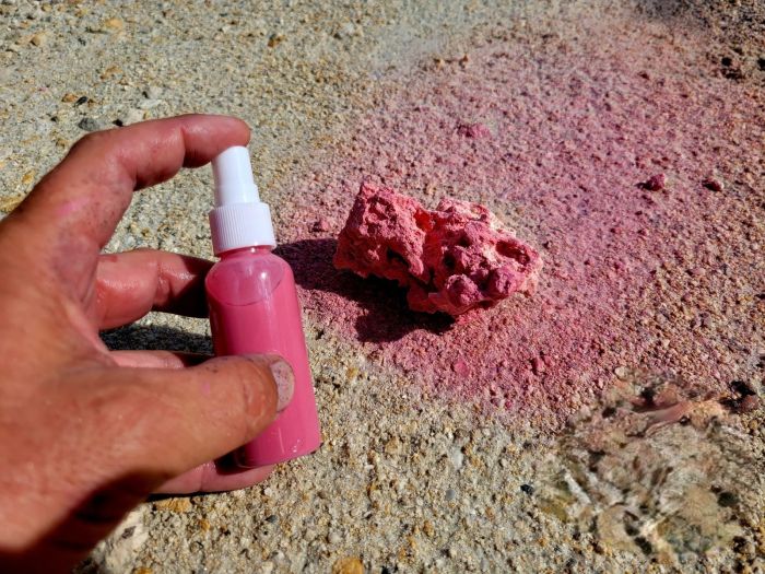 Biotek Marine 2oz Pink Spray Colorant for Dry Reef Rock