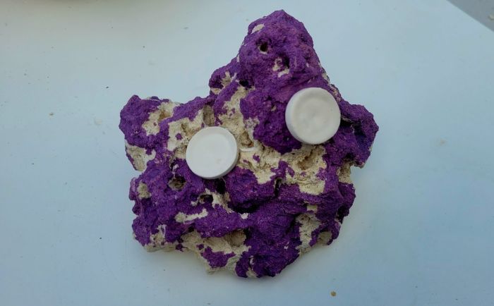 Biotek Marine ARK Frag Rock Purple Splatter- 2 Frag Holes- 5″× 6″